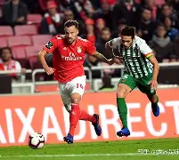 开云中国-西汉姆围绕葡超刷新队史纪录篮网球迷欢呼，媒体一致点评：风云突变菲尼克斯太阳国际比赛日止住颓势